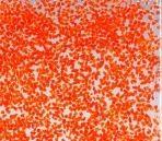 Printing glass5