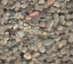 Terrazzo high-precision mapping 1