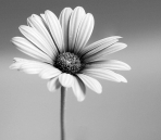 Ikea Decoration Picture Collection 1