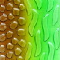 Green transparent colored glass 3D texturing free download
