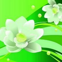Common household decorative wall graphic flower in the case of the beautiful chapter NO.2