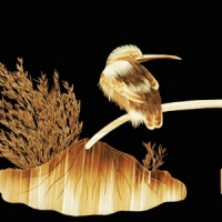 Reed painting of fishing cormorant PS Post-mapping