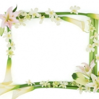 Common Classic Lace Frame